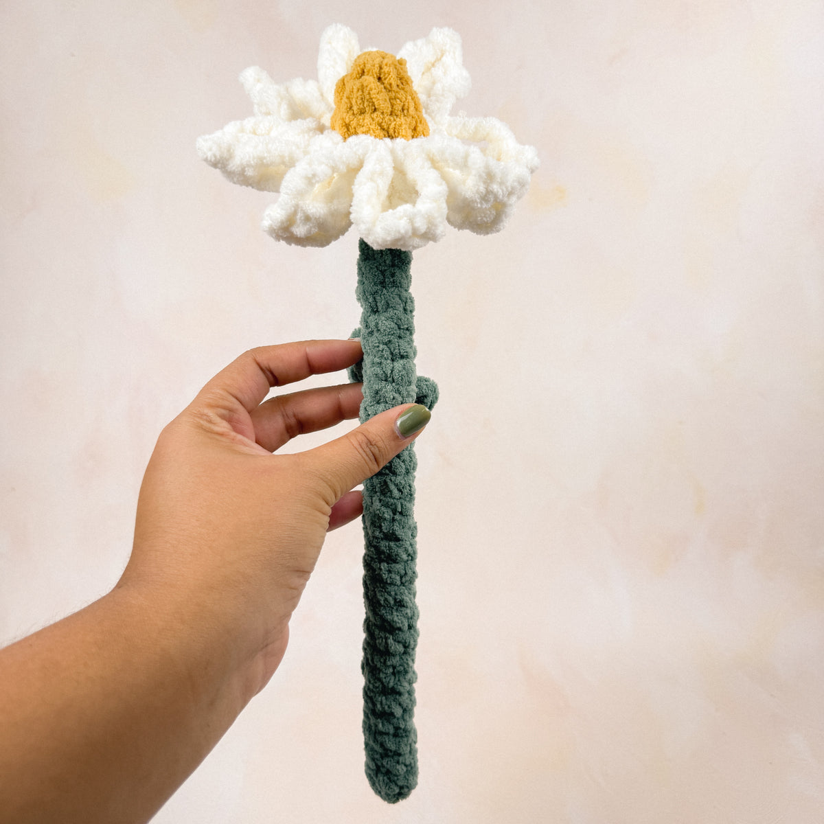 Cosmos Floral Stem