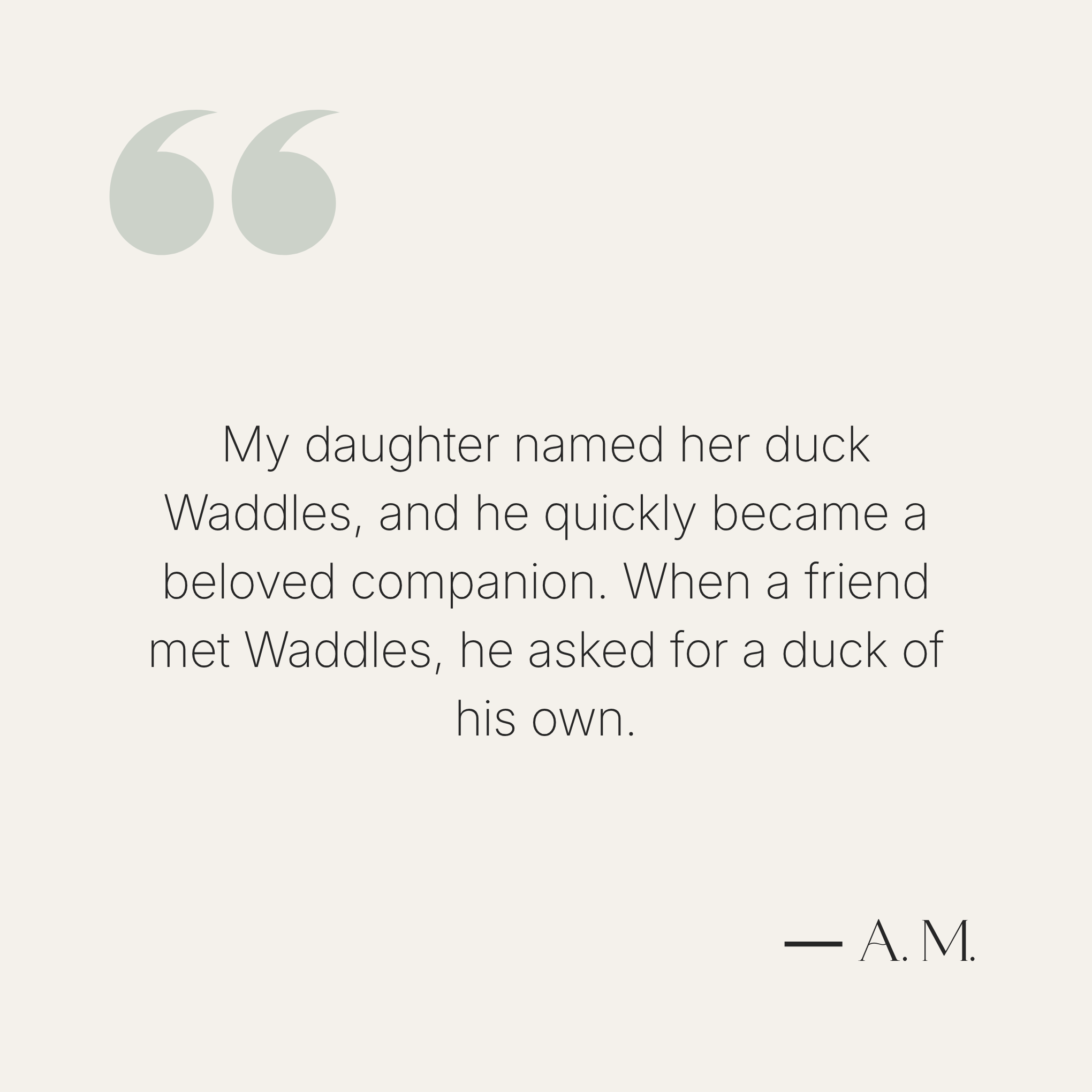 Text quote on a light gray background with a gray quotation mark symbol.