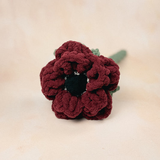 Anemone Floral Stem