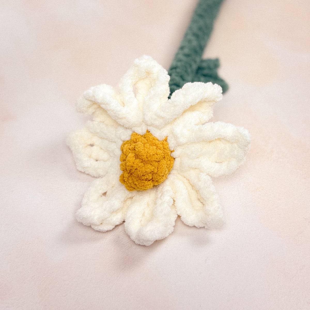 Cosmos Floral Stem