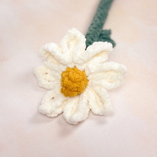 Cosmos Floral Stem