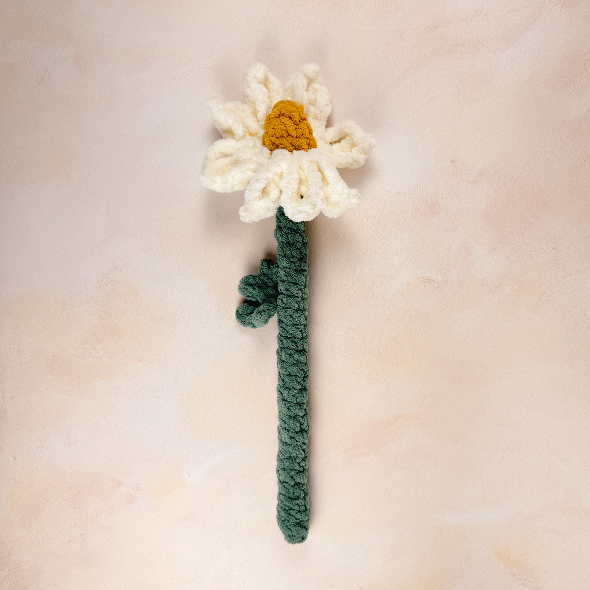 Cosmos Floral Stem