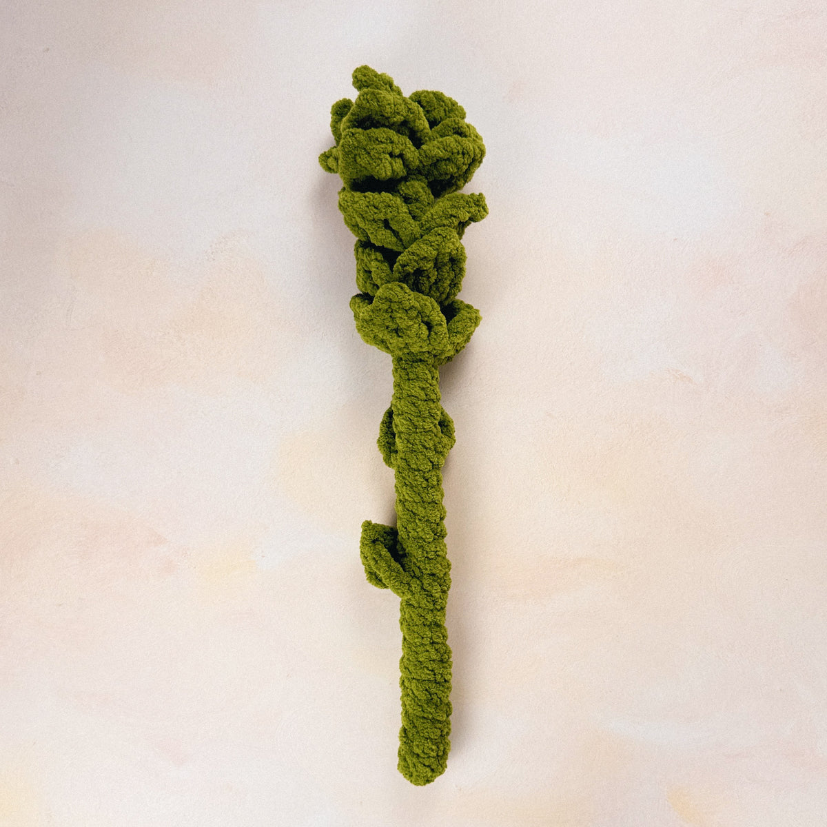 Ruscus Foliage Stem